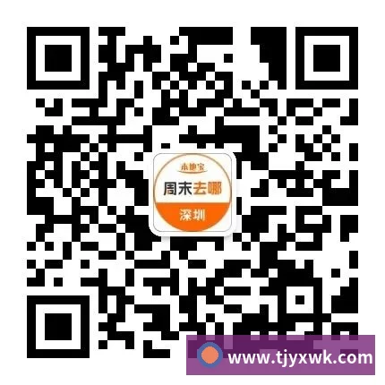 App界面